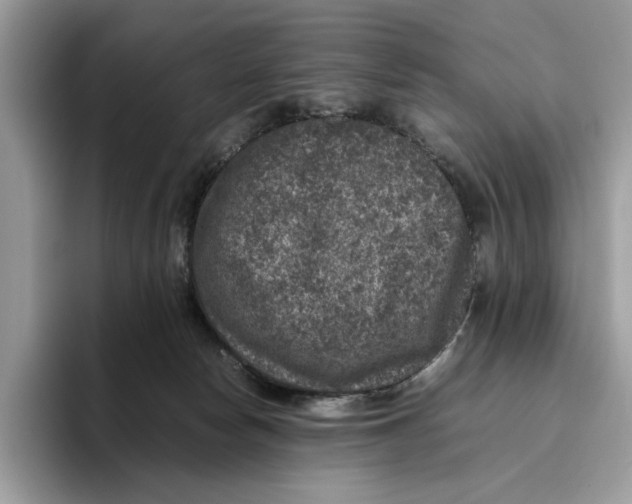 X0000095950178200802011109