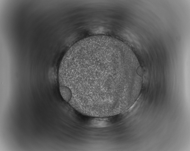 X0000095950179200802011109