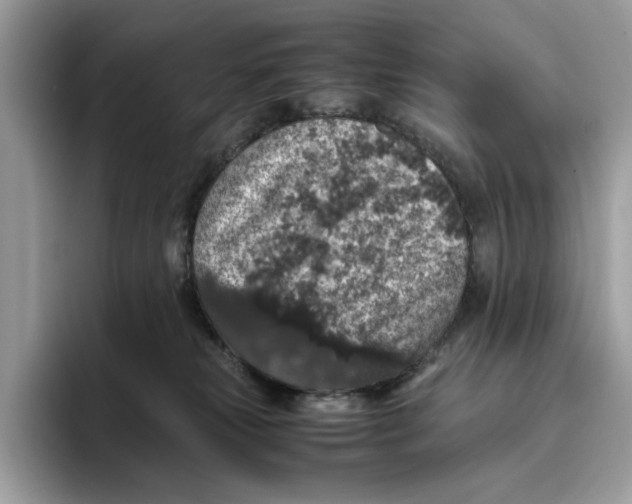 X0000095950181200802011109