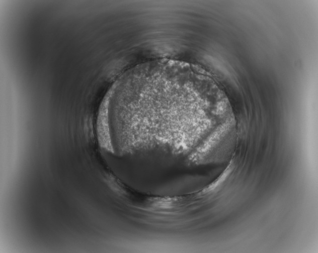 X0000095950182200802011109