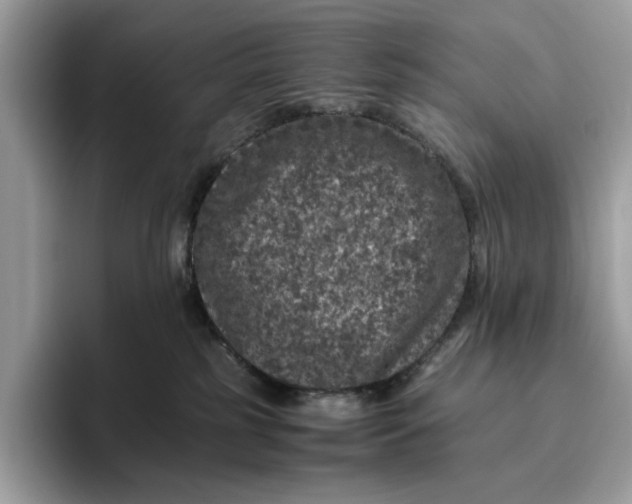 X0000095950185200802011109