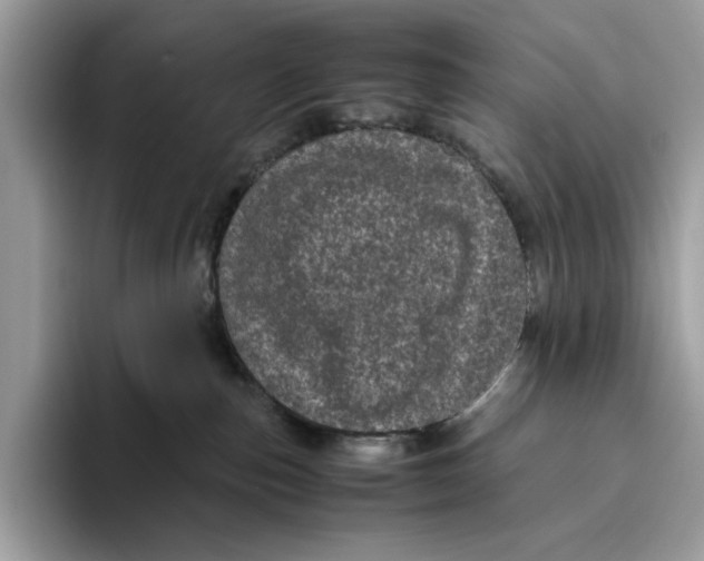 X0000095950187200802011109