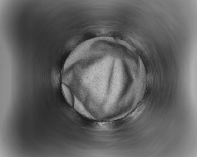 X0000095950188200802011109