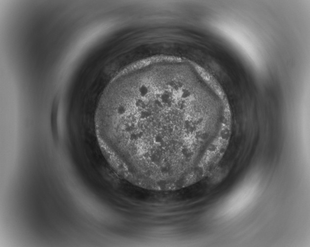 X0000095950189200802011109