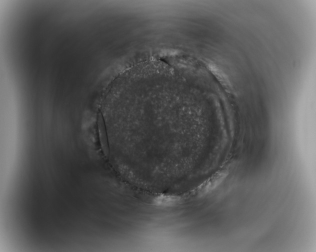 X0000095950192200802011109