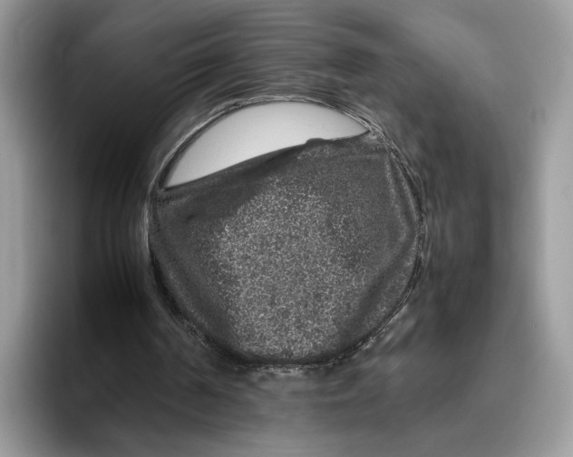 X0000095950194200802011108