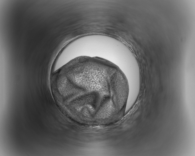 X0000095950195200802011108