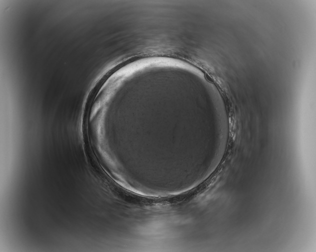 X0000095950196200802011108