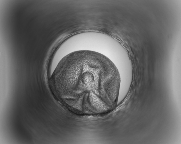 X0000095950197200802011108