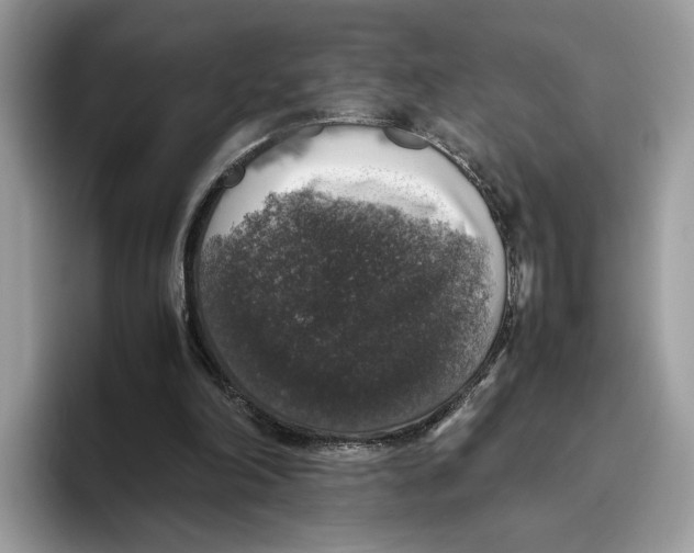 X0000095950198200802011108