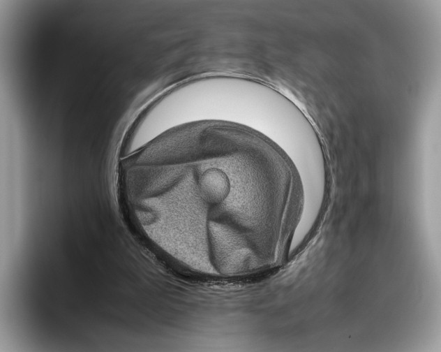 X0000095950199200802011108