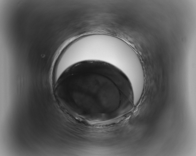 X0000095950200200802011108