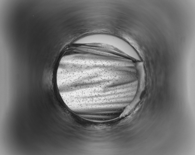 X0000095950201200802011108