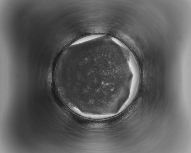 X0000095950202200802011108