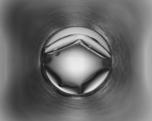 X0000095950203200802011108