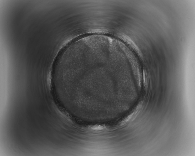 X0000095950204200802011108