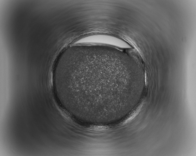 X0000095950205200802011108