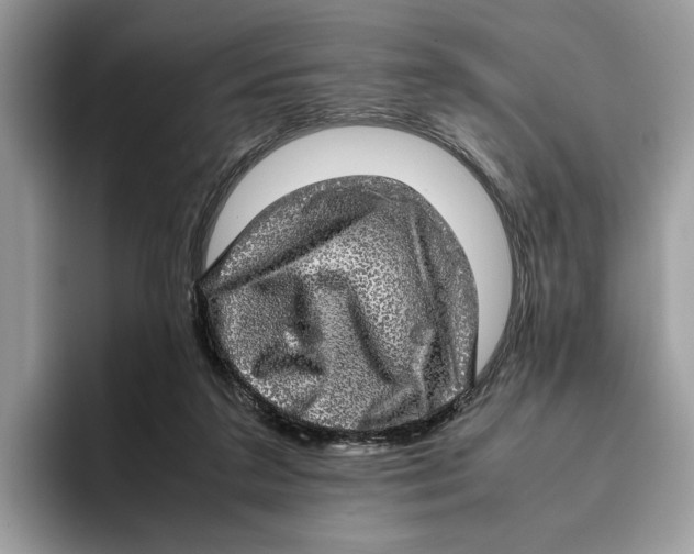 X0000095950211200802011108