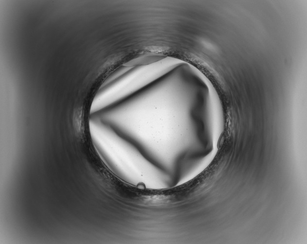 X0000095950212200802011108