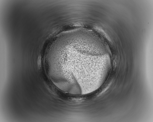 X0000095950213200802011108