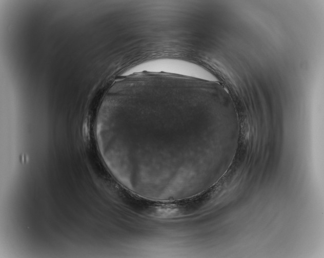 X0000095950214200802011108