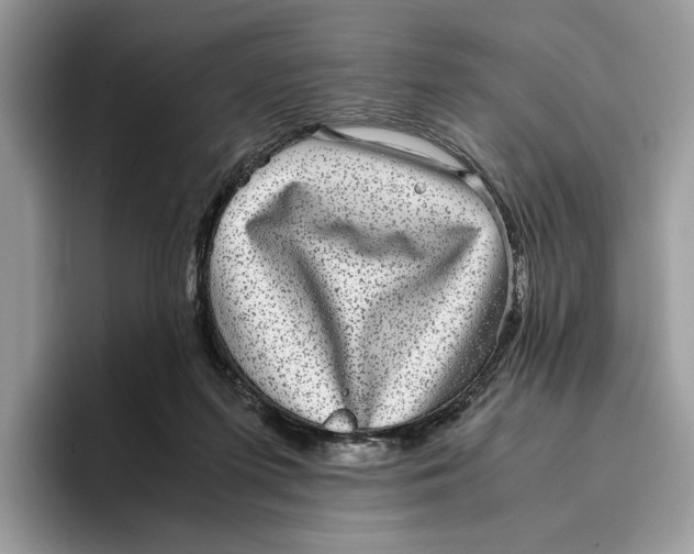 X0000095950215200802011108