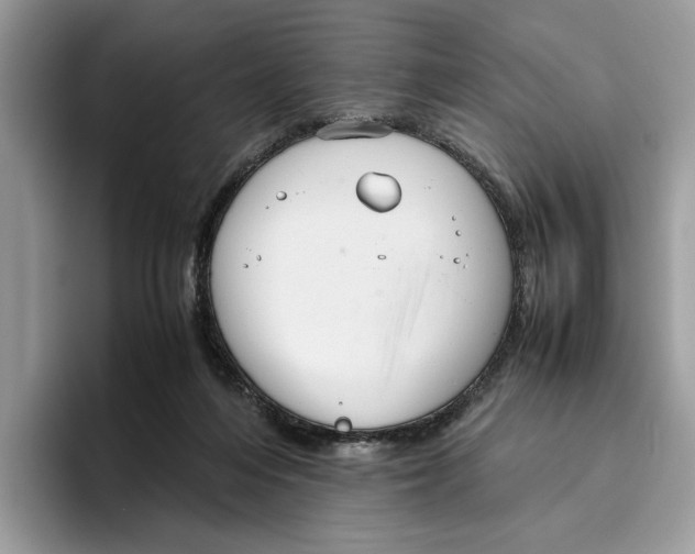 X0000095950216200802011108