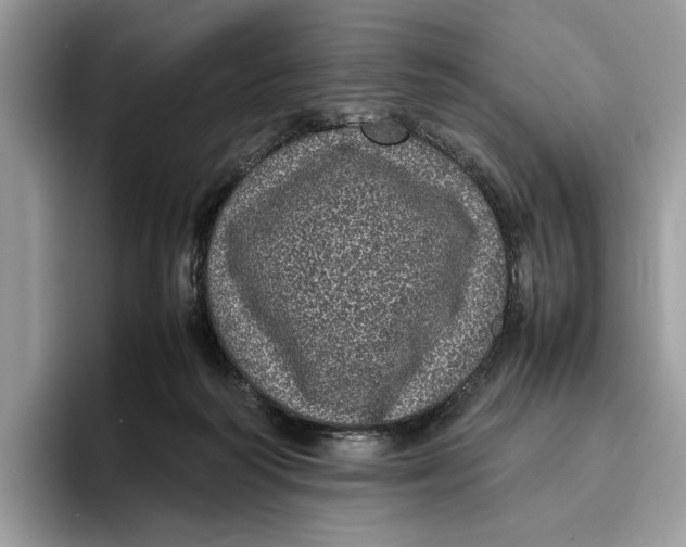 X0000095950218200802011108