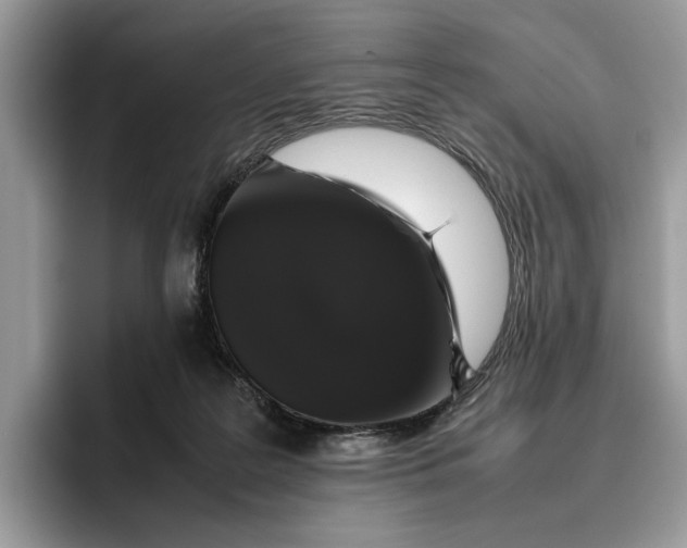 X0000095950219200802011108