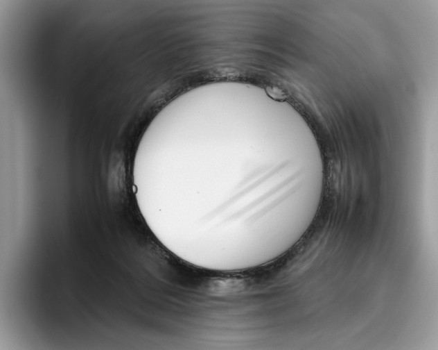 X0000095950220200802011108