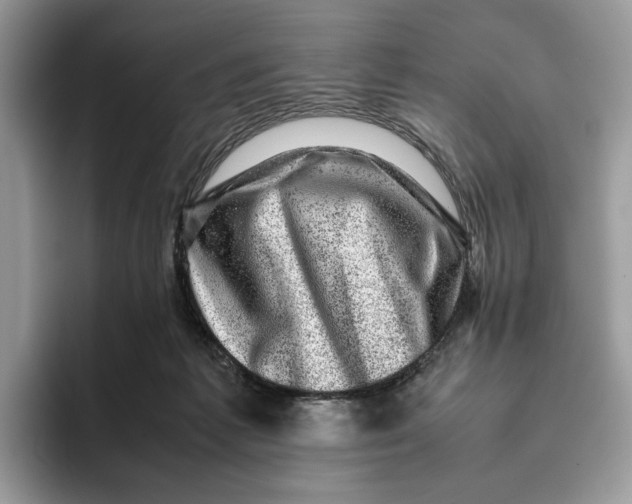 X0000095950221200802011108