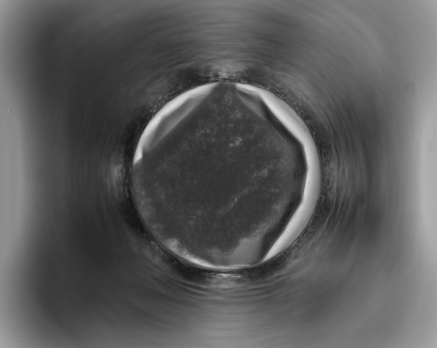 X0000095950222200802011108