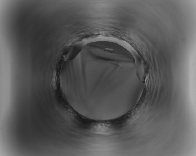 X0000095950223200802011108