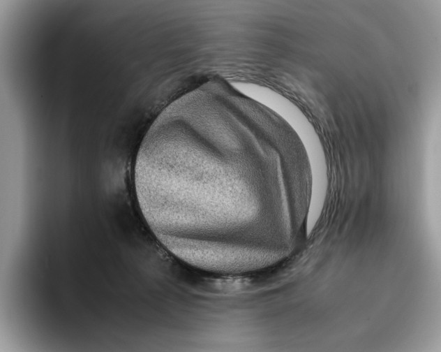 X0000095950225200802011108