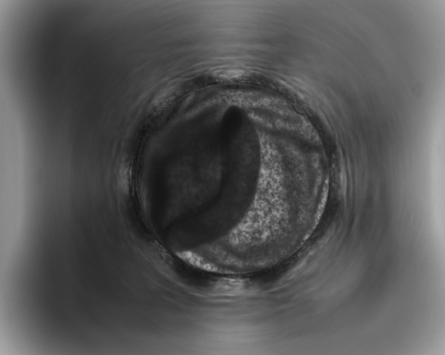 X0000095950227200802011108