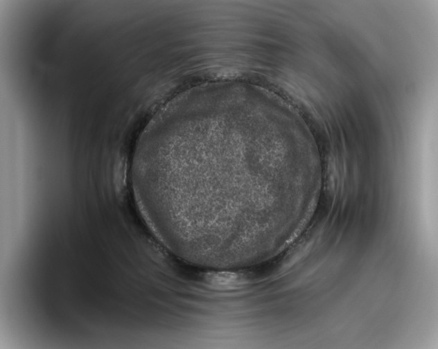 X0000095950230200802011108