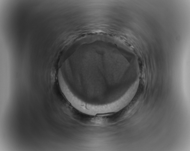 X0000095950231200802011108