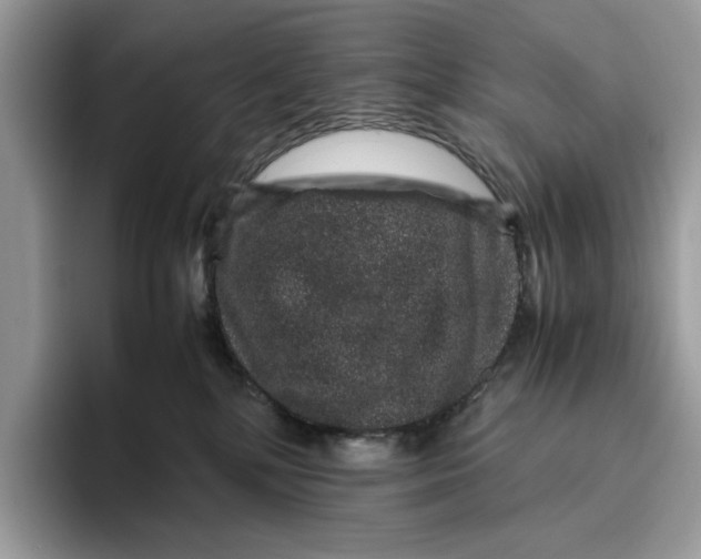 X0000095950232200802011108