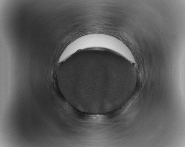 X0000095950233200802011108