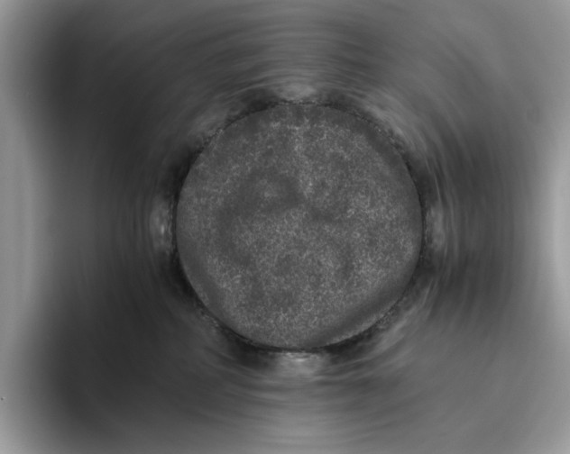 X0000095950234200802011108