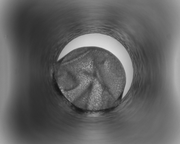 X0000095950235200802011108