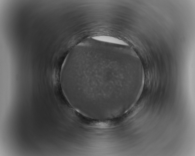 X0000095950236200802011108