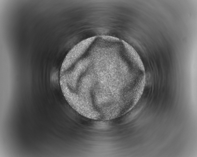 X0000095950238200802011108