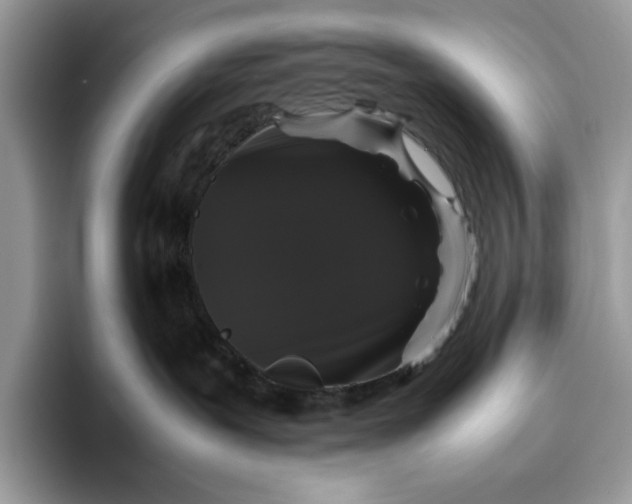 X0000095950239200802011108