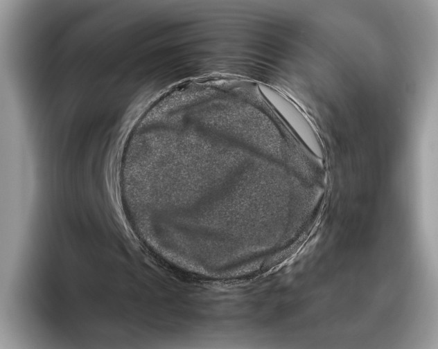 X0000095950241200802011107