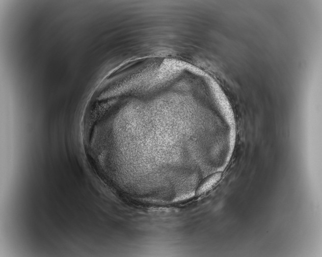 X0000095950242200802011107