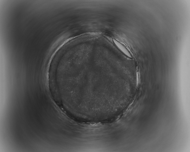 X0000095950243200802011107