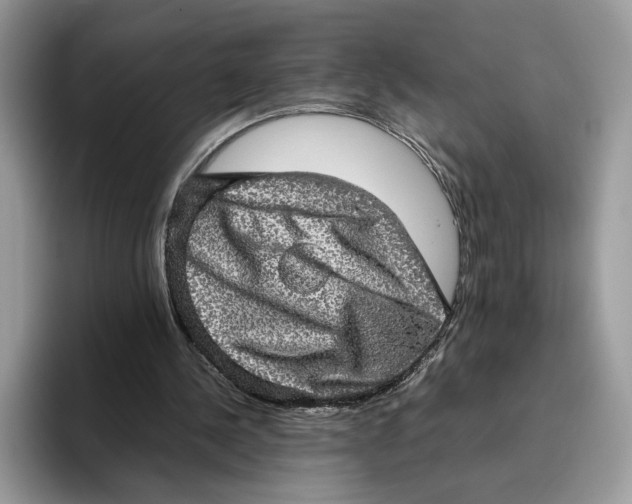 X0000095950244200802011107