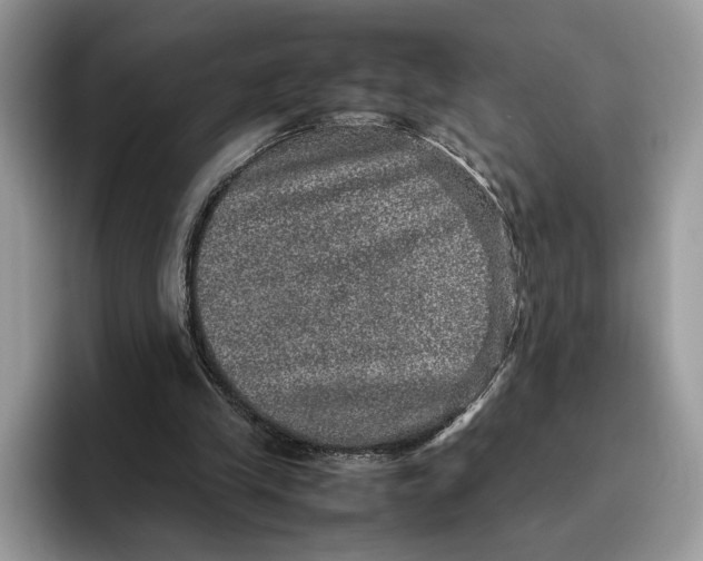 X0000095950245200802011107