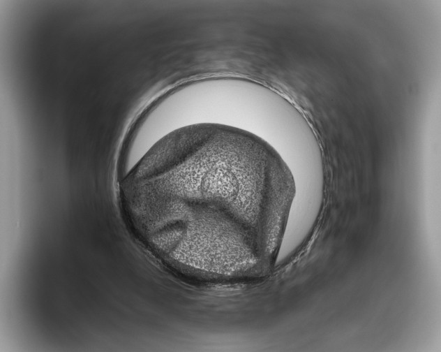 X0000095950248200802011107